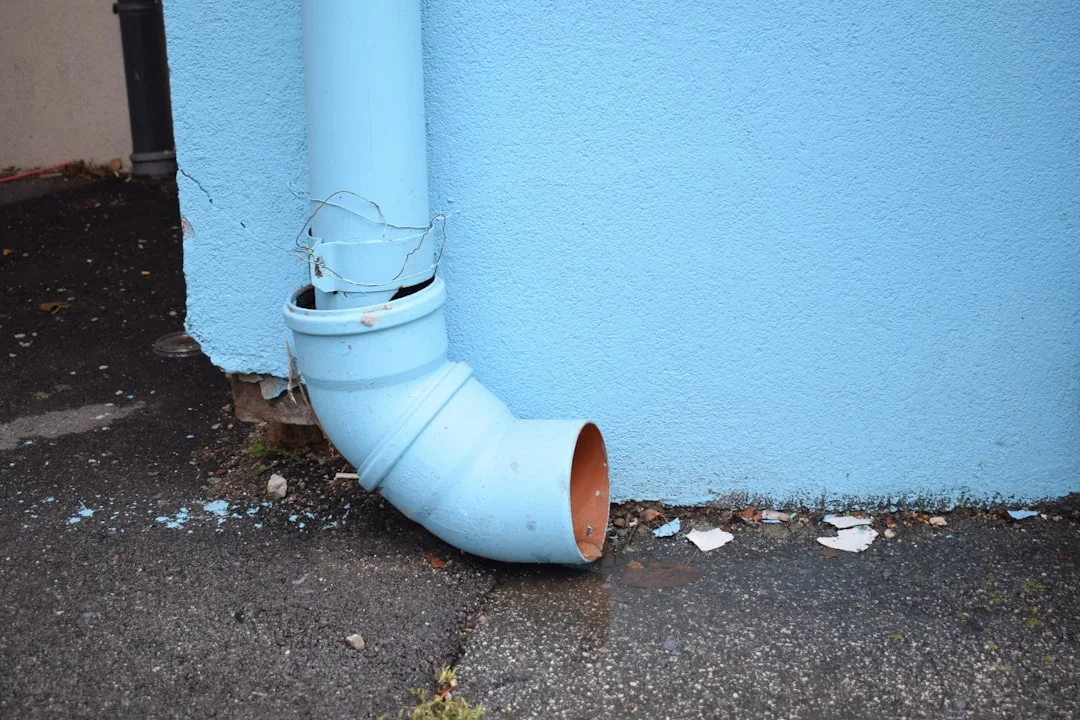 A newly installed pop-up drain emitter in a green lawn, demonstrating a successful daylighting drain pipe installation.