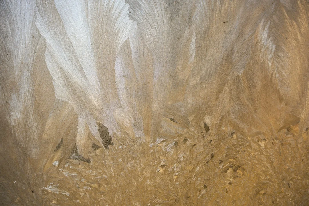 A collection of items used for removing foam insulation from hair, including a bottle of oil, a fine-tooth comb, and cotton balls, arranged neatly on a neutral surface.