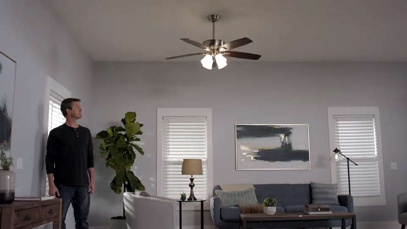 Ceiling Fan in Home