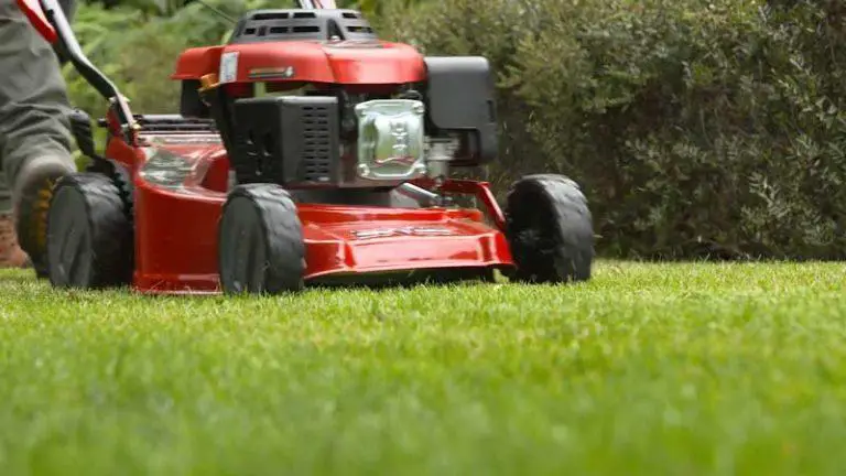 What Are “Mulch” Mowers? Do They Really Provide Mulch?