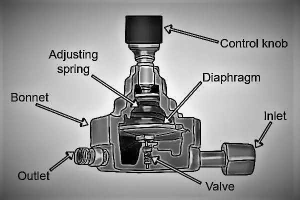 The Spring Diaphragm Mechanism