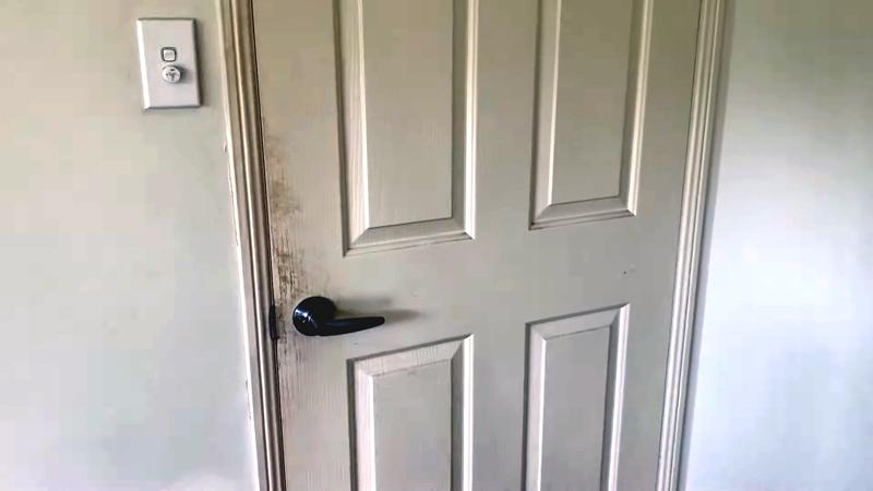 mold on door