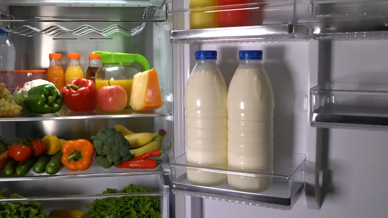 Food Spoilage refrigerator