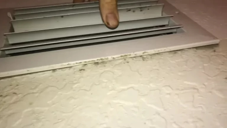 Mold in Air Conditioner Vents? Black Mold? How to Clean? [Step-by-Step Guide]