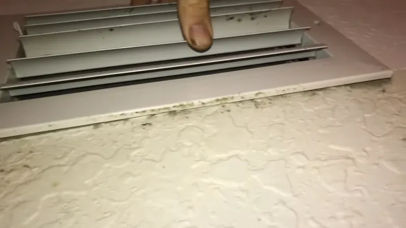 Mold in AC Vent