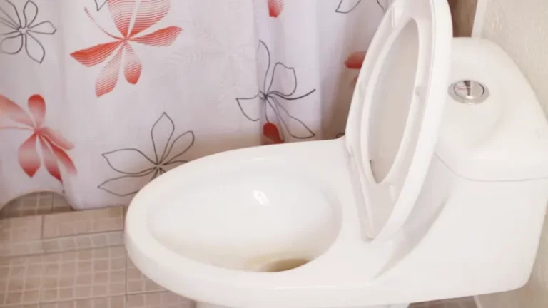 Why Do My Toilet Water Gets Cloudy and Smells?