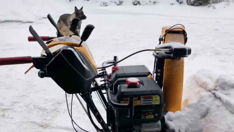 Cub Cadet Snow Blower Won’t Go in Reverse [Reasons and Fixes]