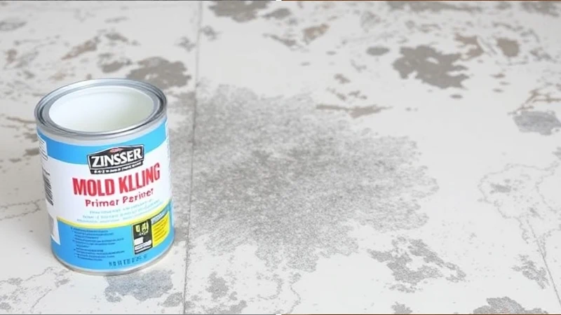 Mold Killing Primer on Subfloor