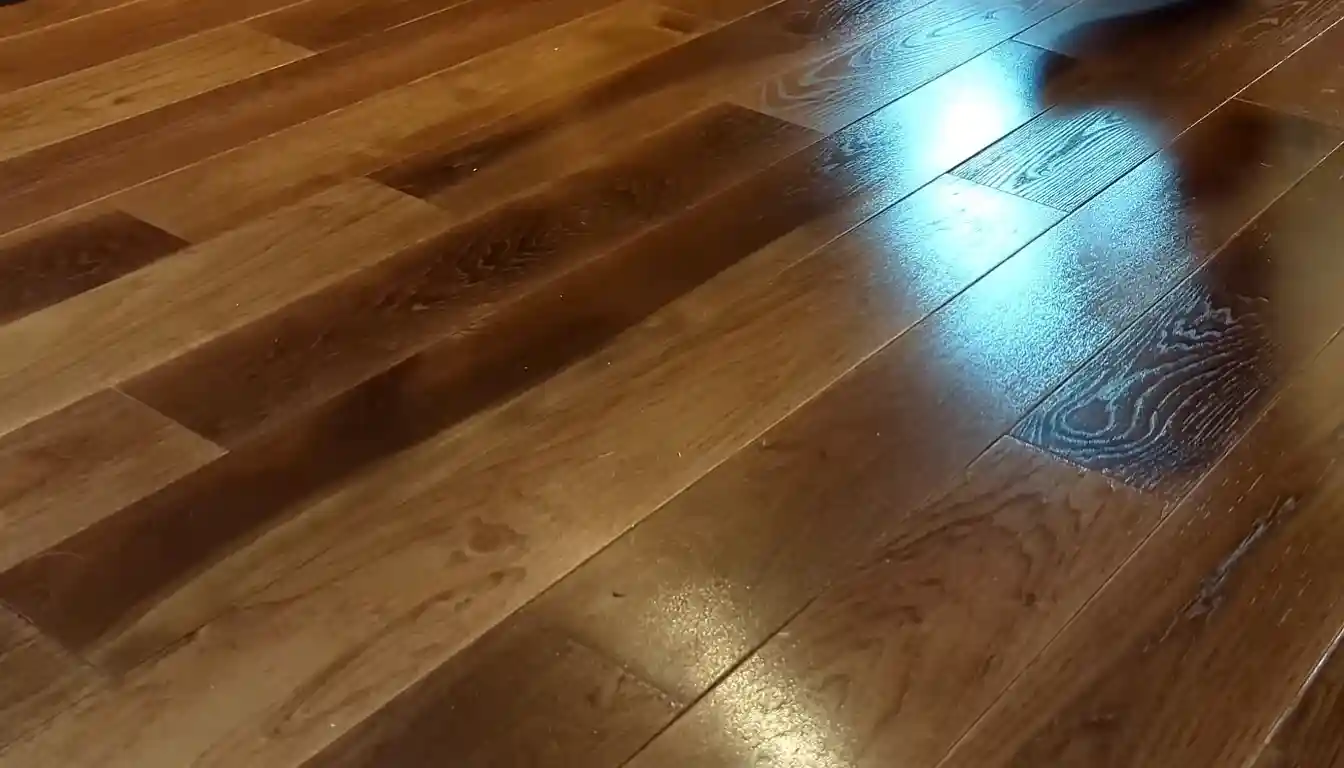 Steller Floors Reviews: The Shocking Truth Before You Buy