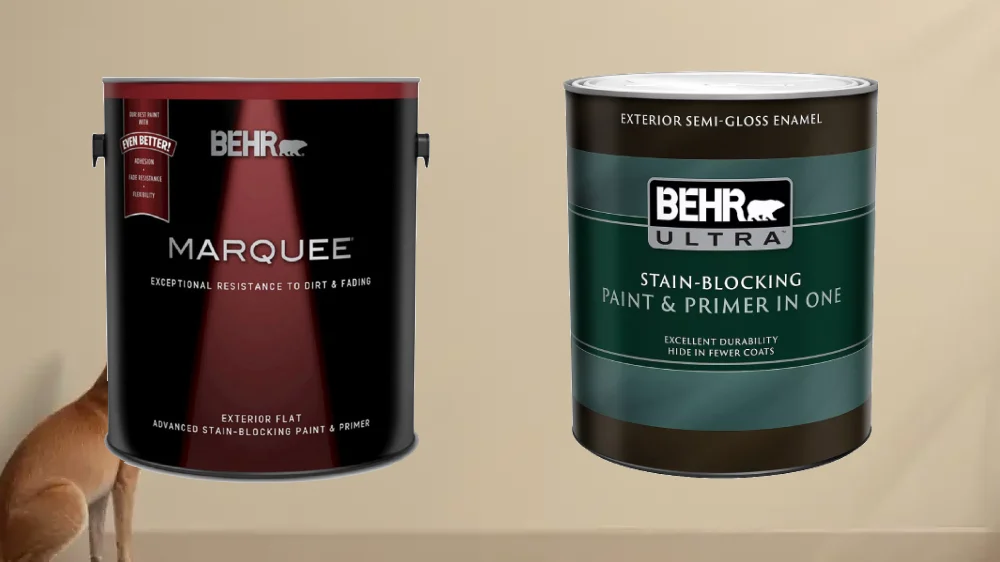 A side-by-side comparison of a wall painted with a smooth matte finish and an adjacent wall painted with a durable, scuff-resistant satin finish under bright, even lighting.