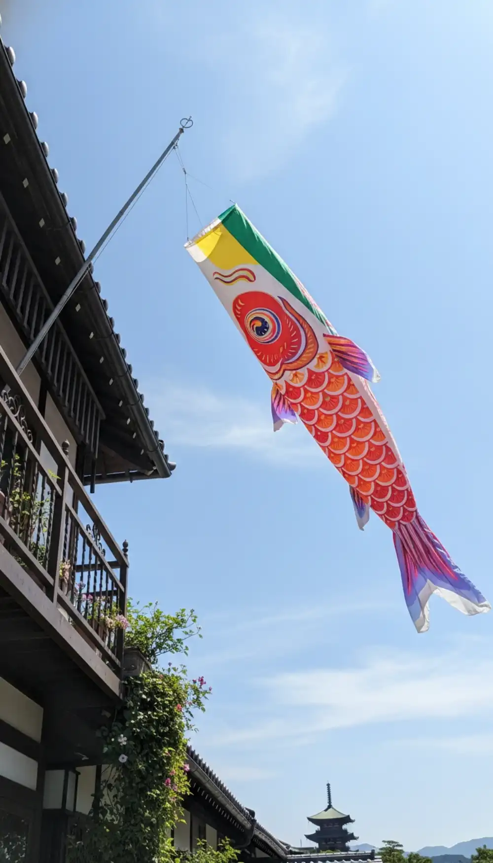 Rainbow fish wind sock flying from a balcony railing
