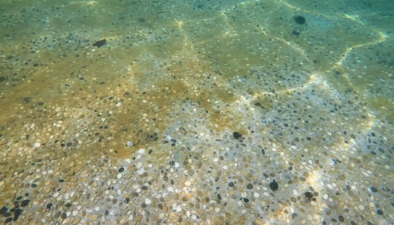 Close-up of a stained and discolored pebble tec pool surface underwater showing variations in color.