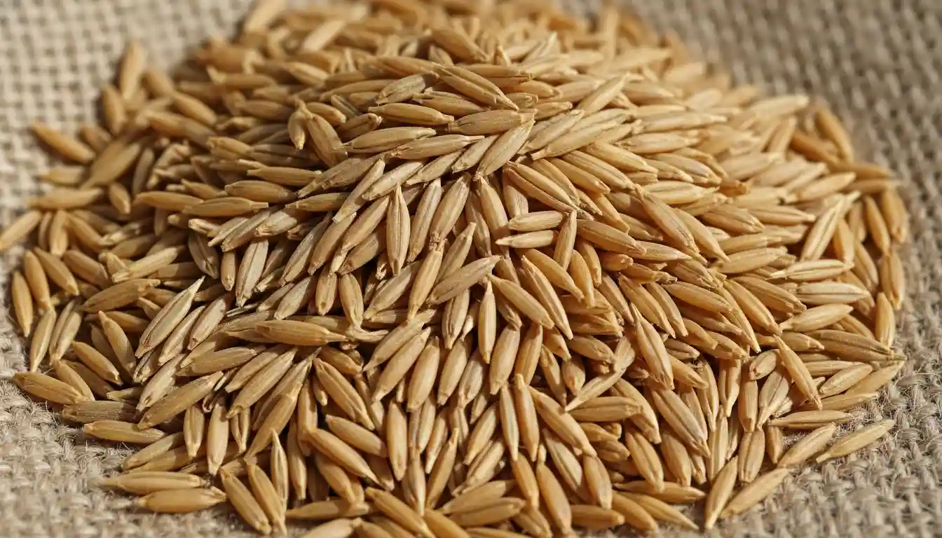 When Does Grass Seed Go On Sale? The Secret to a Greener Lawn & Wallet